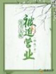 穿书女配被迫营业
