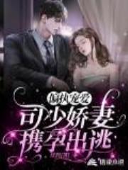 偏执宠爱：司少娇妻携孕出逃