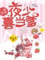 二婚甜妻，夜少喜当爹